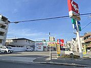 スギ薬局まで526m、大阪府大阪市住吉区南住吉三丁目13番1号