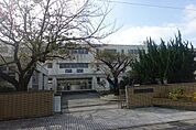 松戸市立南部小学校まで800m