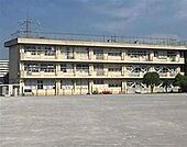 柏市立酒井根東小学校まで876m
