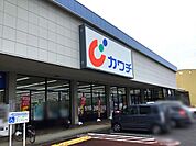 カワチ薬品真鍋店まで878m