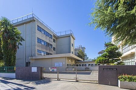 柏市立光ケ丘小学校まで750m