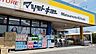 周辺：マツモトキヨシ守谷薬師台店まで530m