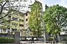 周辺：松戸市立河原塚小学校まで543m