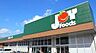 周辺：ジョイフーズ関宿次木店まで850m