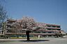 周辺：柏市立富勢小学校まで880m