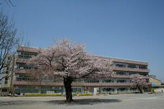 柏市立富勢小学...