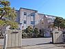 周辺：柏市立松葉中学校まで420m