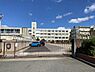 周辺：つつじが丘小学校まで740m