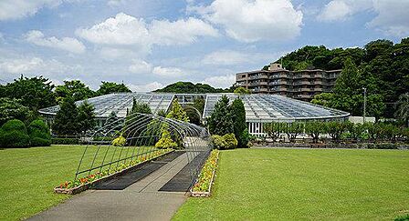 県立大船フラワーセンターまで869m