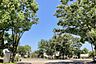 周辺：厚木市中央公園まで588m
