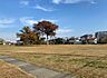 周辺：中野公園まで413m