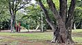 御成公園まで4...