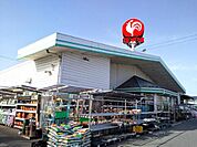 コメリハード＆グリーン中主店まで827m