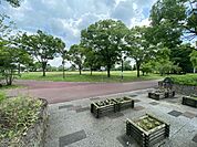 大中公園まで2257m、3月下旬から4月上旬にかけては、大中公園を中心に川の両岸南北2.5キロメートルにわたり、見事な花が続きます。