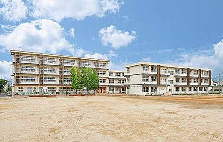 天理市立前栽小学校まで1102m