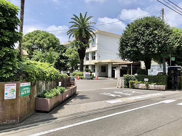 周辺を拡大表示
