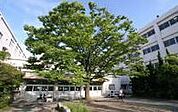 草津市立草津中学校まで1259m