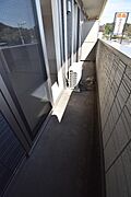 ※同物件別室※