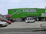 かねひら日野店まで444m、ナナメ向かいにドラッグストア「クリエイト」があります
