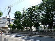 八王子市立第一小学校まで576m