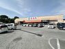 周辺：エコス川口店まで1100m