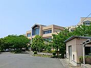 八王子市立松木中学校まで817m