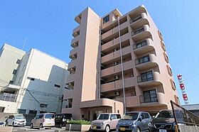 宮崎県宮崎市祇園２丁目（賃貸マンション2LDK・4階・53.03㎡） その1