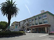宮崎市立赤江小学校まで961m
