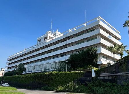 宮崎市役所まで557m