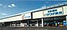 周辺：カワチ薬品成田ニュータウン店まで1233m