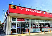 サンドラッグ安田店まで1005m