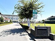 新潟市立大形中学校まで1239m