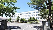 新潟市立大形小学校まで1214m