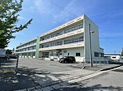 新潟市立早通南小学校まで773m