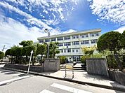 新潟市立坂井輪小学校まで797m