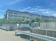 新潟市立山潟中学校まで1553m