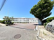 新潟市立藤見中学校まで1130m