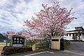 桜井市立桜井中...