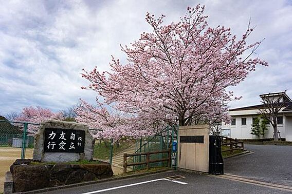 桜井市立桜井中...