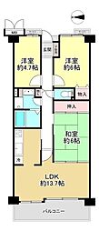 朝倉グリーンマンション 3LDKの間取図画像