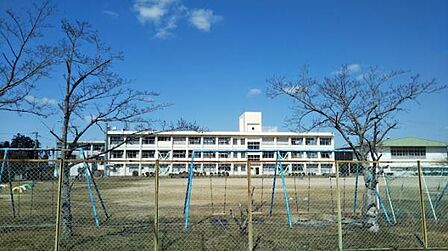 橿原市立白橿小学校まで600m