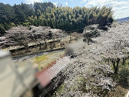 バルコニーからの眺望