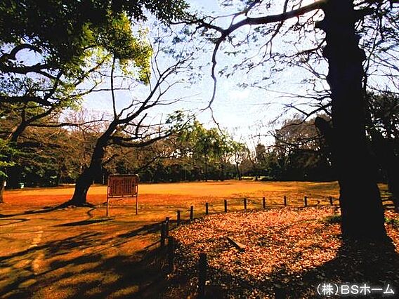 駒場公園まで4...