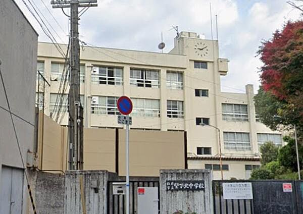 周辺を拡大表示