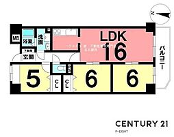 チッタ名和 3LDKの間取図画像