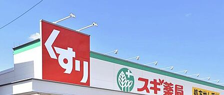 スギ薬局大樹寺店まで869m、現地から869m