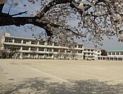 岡崎市立根石小学校まで270m、現地から270m