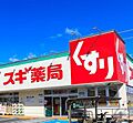 スギ薬局高横須...