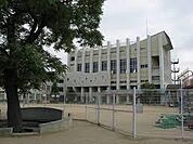 神戸市立若宮小学校まで552m