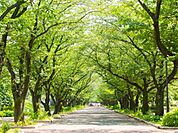 府中の森公園まで916m